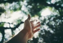 optimize digital growth platform reach