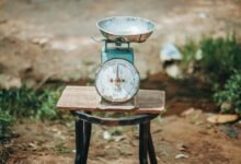 scale online reach web experts